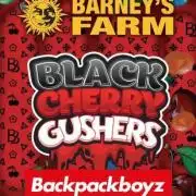 Black Cherry Gushers