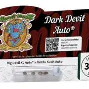 😈 Dark Devil Auto (Sweet Seeds)