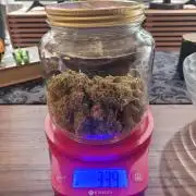 Sensi Seeds Northern Lights Photoperiod