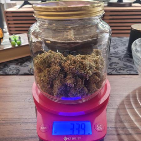 Sensi Seeds Northern Lights Photoperiod