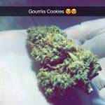 MrRaid: Gorilla Cookies AUTO