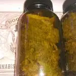 2025 Global Autoflowering Competition