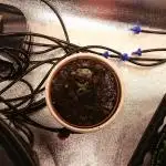 2025 Global Autoflowering Competition