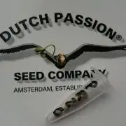 Dutch Passion Growing Competition 2026 A
