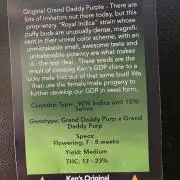 Ken´s Original Grand Daddy Purp (fem.)