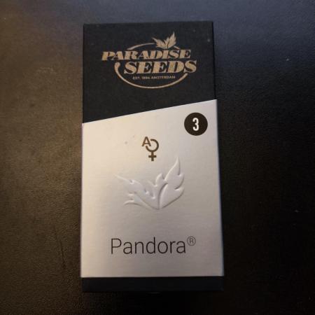 Pandora Auto - Paradise Seeds