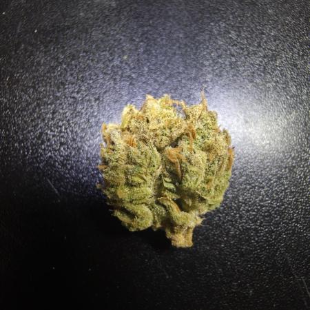 Amnesia Bilbo Auto - Genehtik