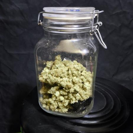 Auto Big Demon - Divine Seeds Contest