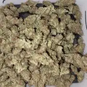 Auto Divine Rapier - Contest