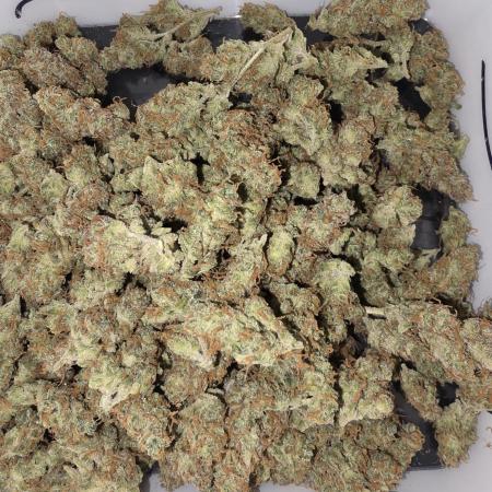 Auto Divine Rapier - Contest