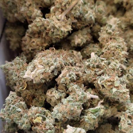 Sticky Mango Auto (Tastebudz)