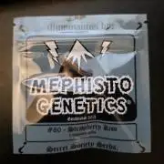 Strawberry Kiss - Mephisto Genetics