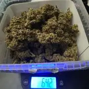 2nd Try Outdoor - Brutalis Auto