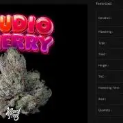 Wizard Trees - Studio Cherry