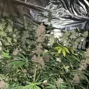 UN DIARIO INASPETTATO