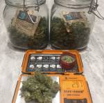 First Grow//RQS//Auto