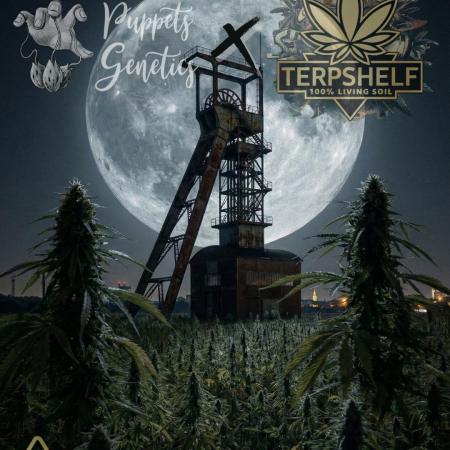 Terpshelf's TerpLog #1