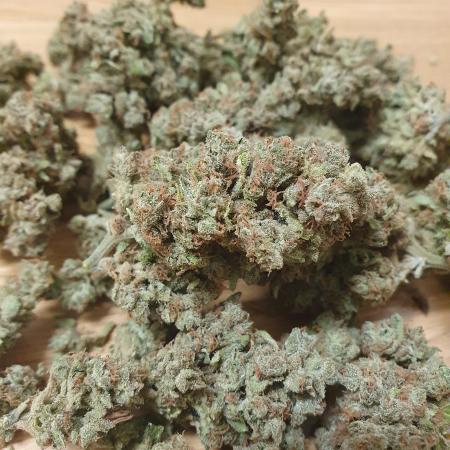 Bad Weather Grow #1 (DE/EN) x Hy-Pro