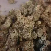 Mystery Box Autos on Living Soil