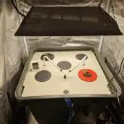 2x Diesel Auto im Aeroponic System