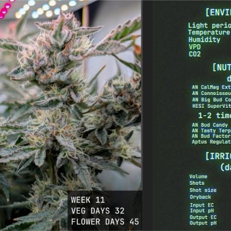 Solfire Gardens - Trich Beast