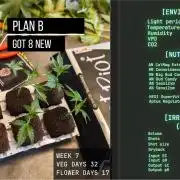 Solfire Gardens - Trich Beast