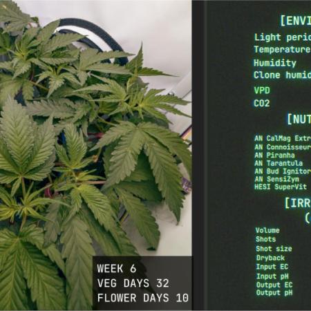 Solfire Gardens - Trich Beast