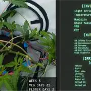 Solfire Gardens - Trich Beast