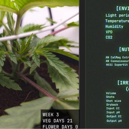 Solfire Gardens - Trich Beast