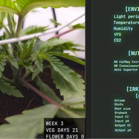 Solfire Gardens - Trich Beast