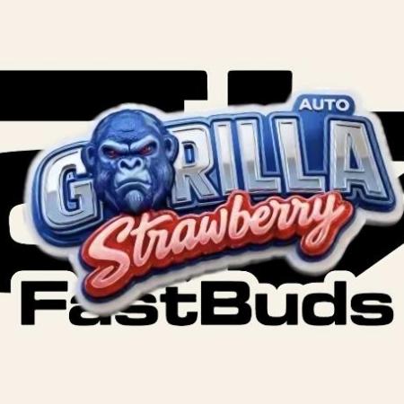 🍓🍓🍓🦍🦍🦍