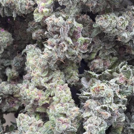 Guava and Strawberry Gorilla Auto RF3