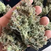 Lemon Cherry Cookies Auto