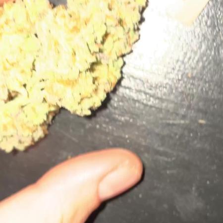 Blueberry Auto Zamnesia