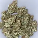 Amnesia Haze XXL Auto