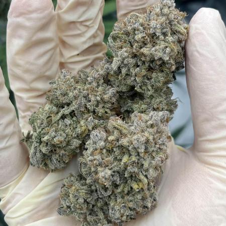 Brain Freeze (Auto)