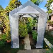 Greenhouse Summer Outdoor Grow 2026