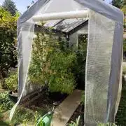 Greenhouse Summer Outdoor Grow 2026