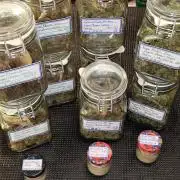 ROOTIES outdoor summer grow 2025