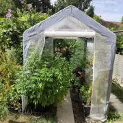 Greenhouse Summer Outdoor Grow 2026