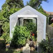 Greenhouse Summer Outdoor Grow 2026