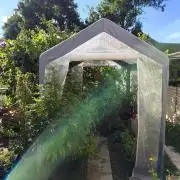 Greenhouse Summer Outdoor Grow 2026