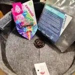 Rainbow Sherbet Automatic von Zamnesia