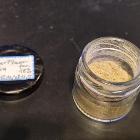 ROOTIES outdoor summer grow 2025