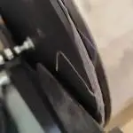 ROOTIES outdoor summer grow 2025