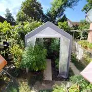 Greenhouse Summer Outdoor Grow 2026