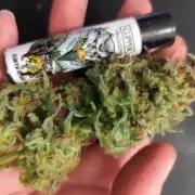 Frostbanger Auto F3 von 2Fast4Buds