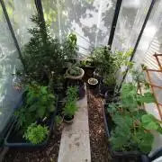 Greenhouse Summer Outdoor Grow 2026