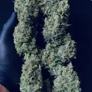 Break-Up Cake Auto ❤️💔🍰