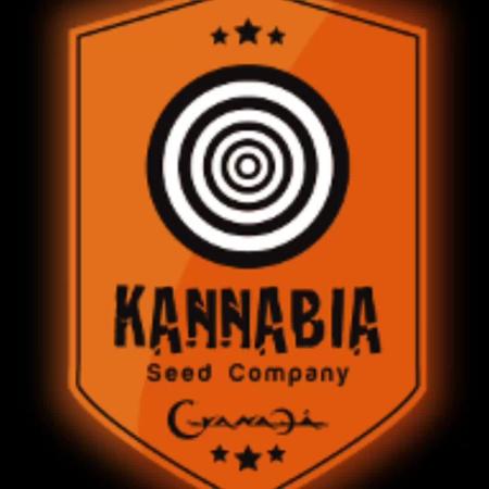 Do si Dos 🍬 🥜 🍋 🌿 🍪